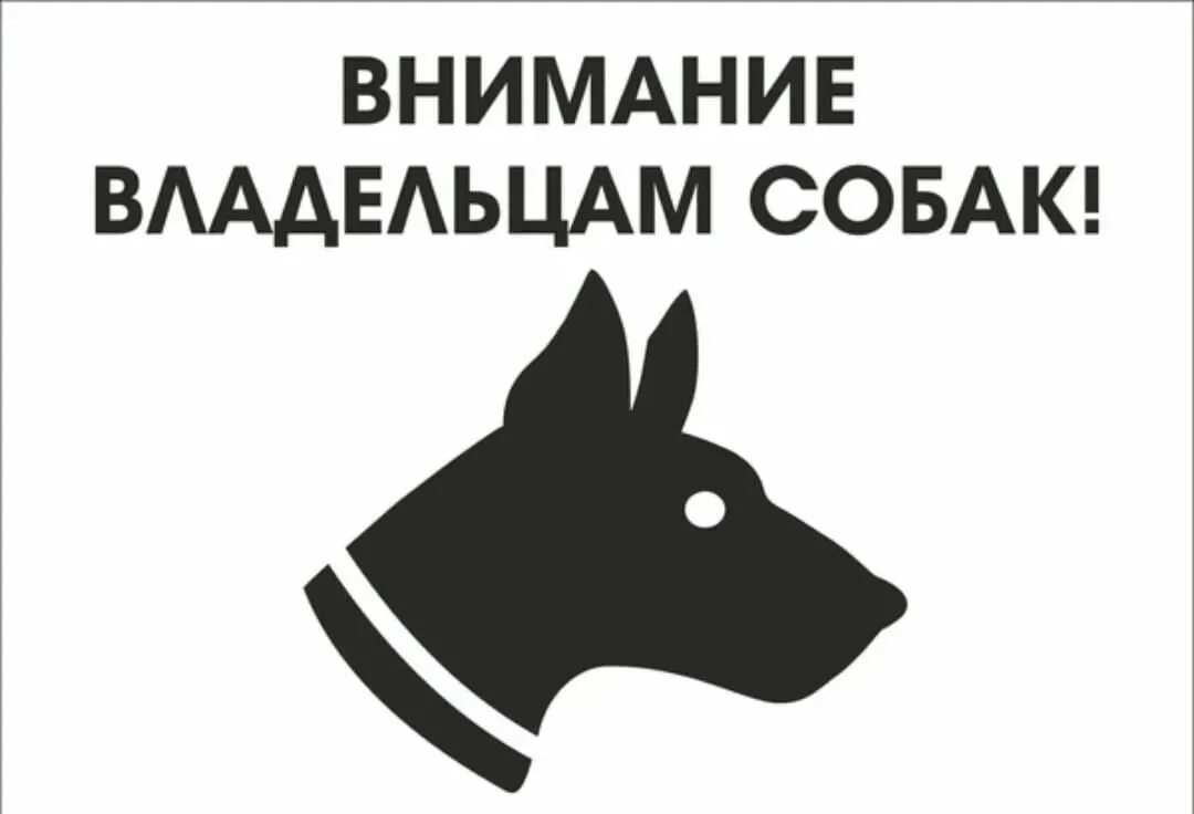 Ответственность обращения с животными.